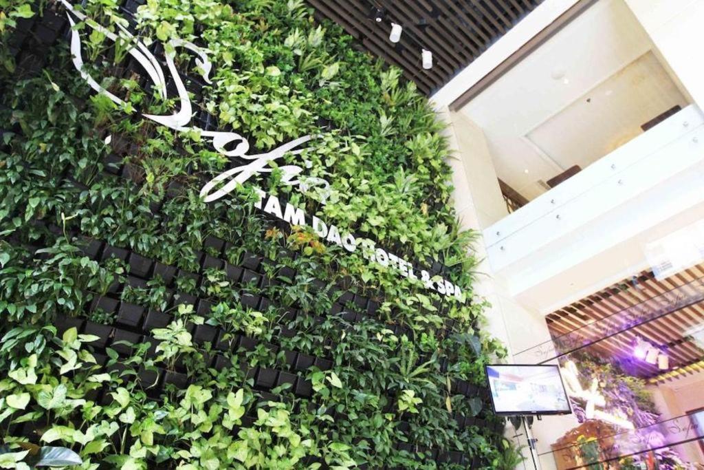 Thang Loi Tam Dao Hotel Exterior photo